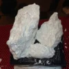 FISHSCALE Cocaine